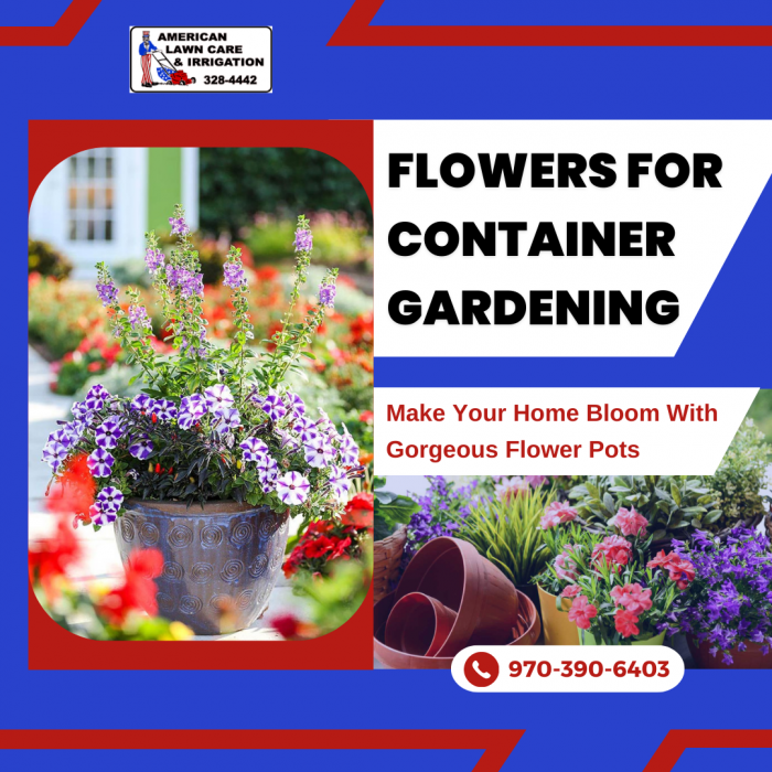 Container Flowers to Brighten Up Your Garden