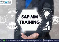 Develop Your Skills with SAP MM Training in Noida at ShapeMySkills