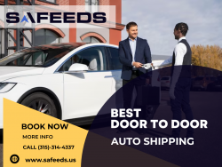 Safeeds Drives Convenience: Experience Effortless Door-to-Door Auto Shipping