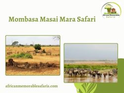 Safari Dreams: Mombasa Masai Mara Expedition Awaits
