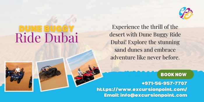 Dune Buggy Abu Dhabi