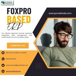 Efficient FoxPro Database Programming for FoxPro-Based ERP Solutions