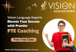 Vision Language Experts: Elevate Your Success with Premier PTE Coaching