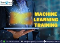 Enhance Your Skills with Machine Learning Training at ShapeMySkills