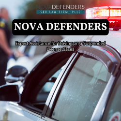 Expert Assistance for Driving in Suspended License Cases