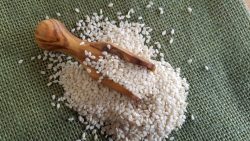 Explore Benefits of Hulled Sesame Seeds in USA