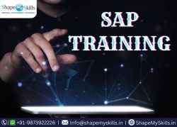 Features of SAP Training in Noida at ShapeMySkills