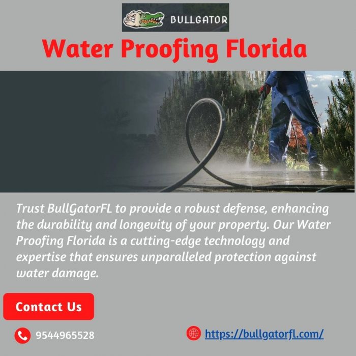 Florida’s Premier Water-Proofing Solution by Bullgator Fl