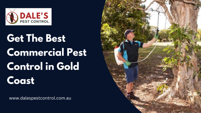 Get The Best Commercial Pest Control in Gold Coast