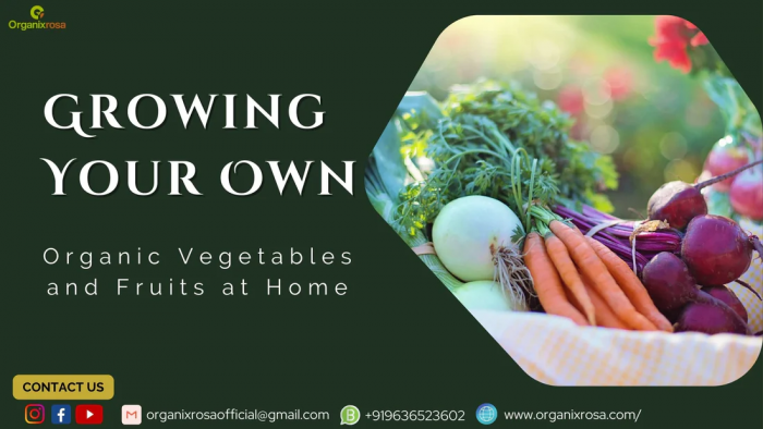 Growing Your Own Organic Vegetables and Fruits at Home: A Beginner’s Guide