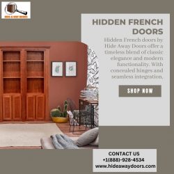Hidden french doors
