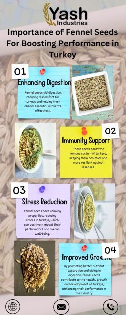 Importance of Fennel Seeds For Boosting Performance in Turkey