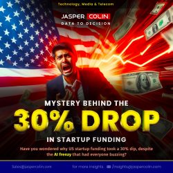 Mystery Behind: The 30% Drop in Startup Funding