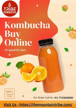 Elevate Your Refreshment: Mountain Tribe Kombucha Available – Buy Online Now!
