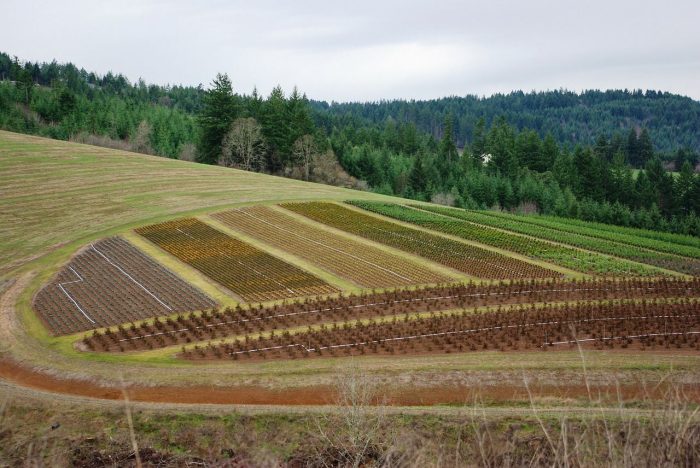 Discover Sustainable Living: Managed Farmland for Sale in Lakeview Farms.