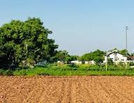 Lakeview Farms: Your Source for Premium Agriculture Land for sale in Thally
