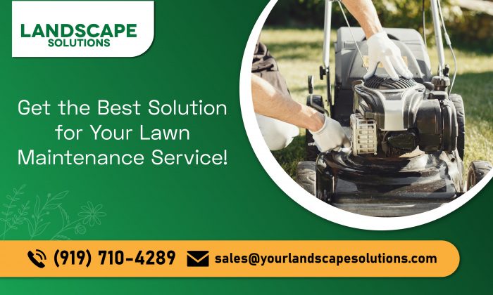 Get Super-Skilled Lawn Maintenance Team Today!