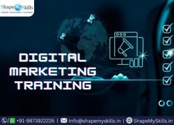 Learn About Digital Marketing Training in Noida at ShapeMySkills