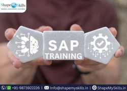 Learn SAP Training in Noida at ShapeMySkills