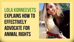 Lola Korneevets Explains How to Effectively Advocate for Animal Rights