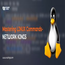 Mastering Linux Commands – Network Kings