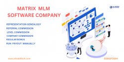 Best Matrix MLM Software development company in Delhi