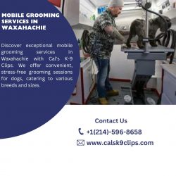 Mobile Grooming Services in Waxahachie