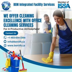 Therapeutic Benefits Of House Cleaners Calgary SW Services