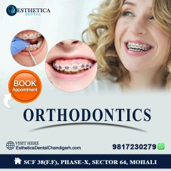 Transform Your Smile with the Best Orthodontics in Chandigarh at Esthetica Dental Clinic Mohali!