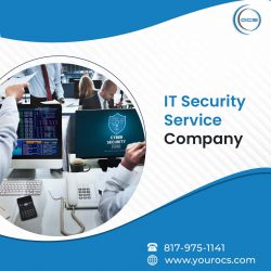 IT Security Service Company