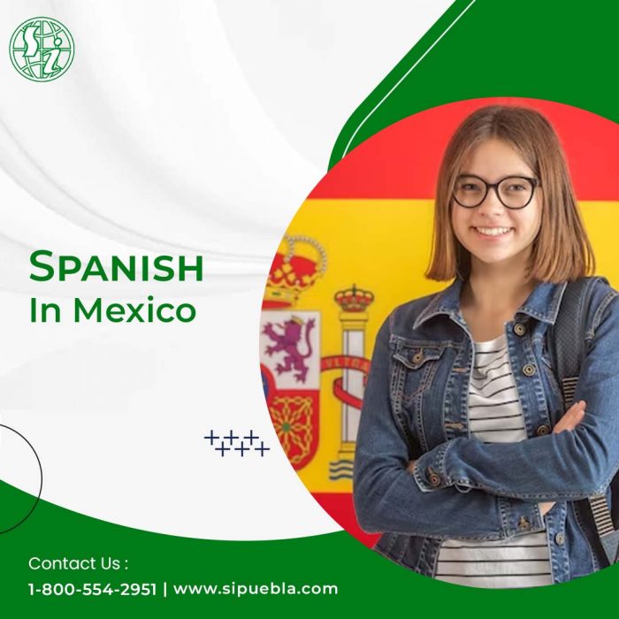 Spanish in Mexico