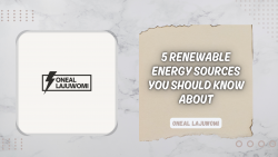 Oneal Lajuwomi | 5 Renewable Energy Sources You Should Know About