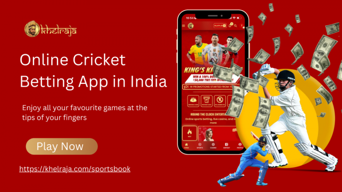 Online cricket betting in India