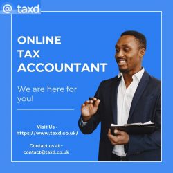 Precision Meets Convenience: Elevate Your Tax Game with an Online Tax Accountant