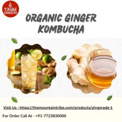 Elevate Your Health with Mountain Tribe’s Organic Ginger Kombucha