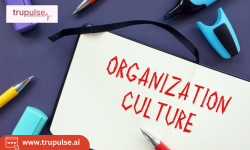 Organizational Culture Assessment -TruPulse