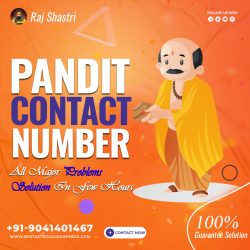Pandit contact Number – Tantrik Baba Number – talk to astrologer for free on whatsapp