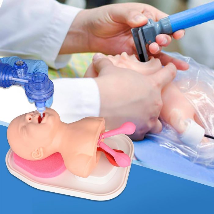 Ultrassist Neonatal Intubation Trainer – Clinical Infant Airway Management Manikin
