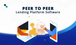 Elevate Efficiency with Peer-to-Peer Lending Platform Software