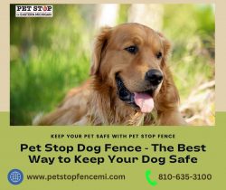 Keep Your Pet Secured with the Best Pet Stop Dog Fence