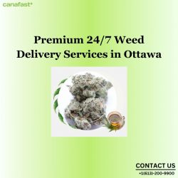 Premium 24/7 Weed Delivery Services in Ottawa