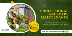 Professional Landscape Maintenance