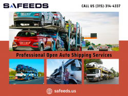 Safeeds Transport Inc | Your #1 Source for Outstanding Open Auto Shipping