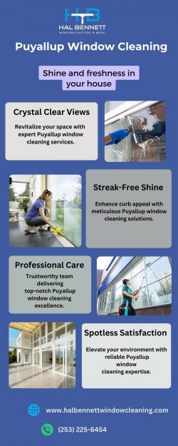 Sparkling Views Await with Expert Puyallup Window Cleaning Services