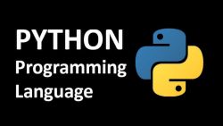 Learning Python Made Easy with the Best Python Course in Pune