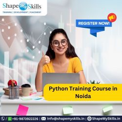 Best Institute for Python Training in Noida (2024)