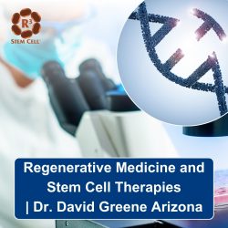 Regenerative Medicine and Stem Cell Therapies | Dr. David Greene Arizona