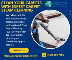 Revitalize Your Space: Expert Carpet Steam Cleaning