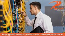 Ripper Online – Your One-Stop Shop to Buy Network Cable in Australia!