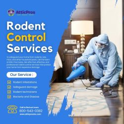 Proactive Rodent Extermination: Your Trusted Rodent Control Partner